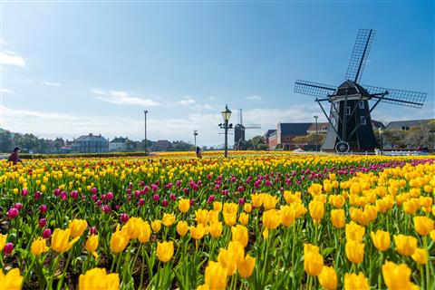 ハウステンボス　承認番号：C-9083